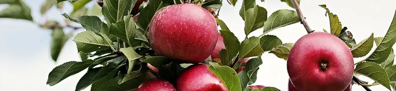 Sichere Dir jetzt die Domain www.Erfolgreich-Gewicht-reduzieren.de, bevor es ein anderer tut. Jetzt zugreifn!!