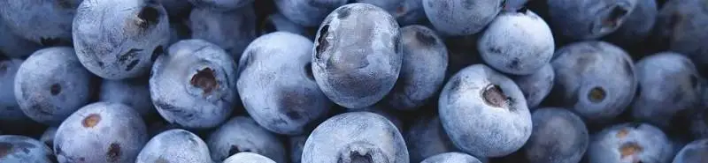 Sichere Dir jetzt die Domain www.Vitamin-Paradies.de, bevor es ein anderer tut. Jetzt zugreifn!!